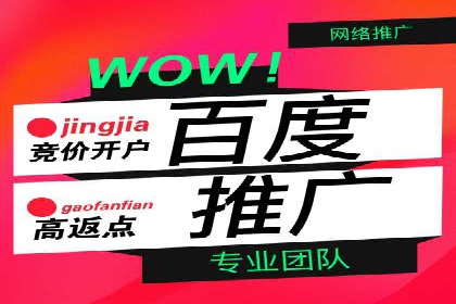 案例解析：如何通过竞价推广实现精准营销